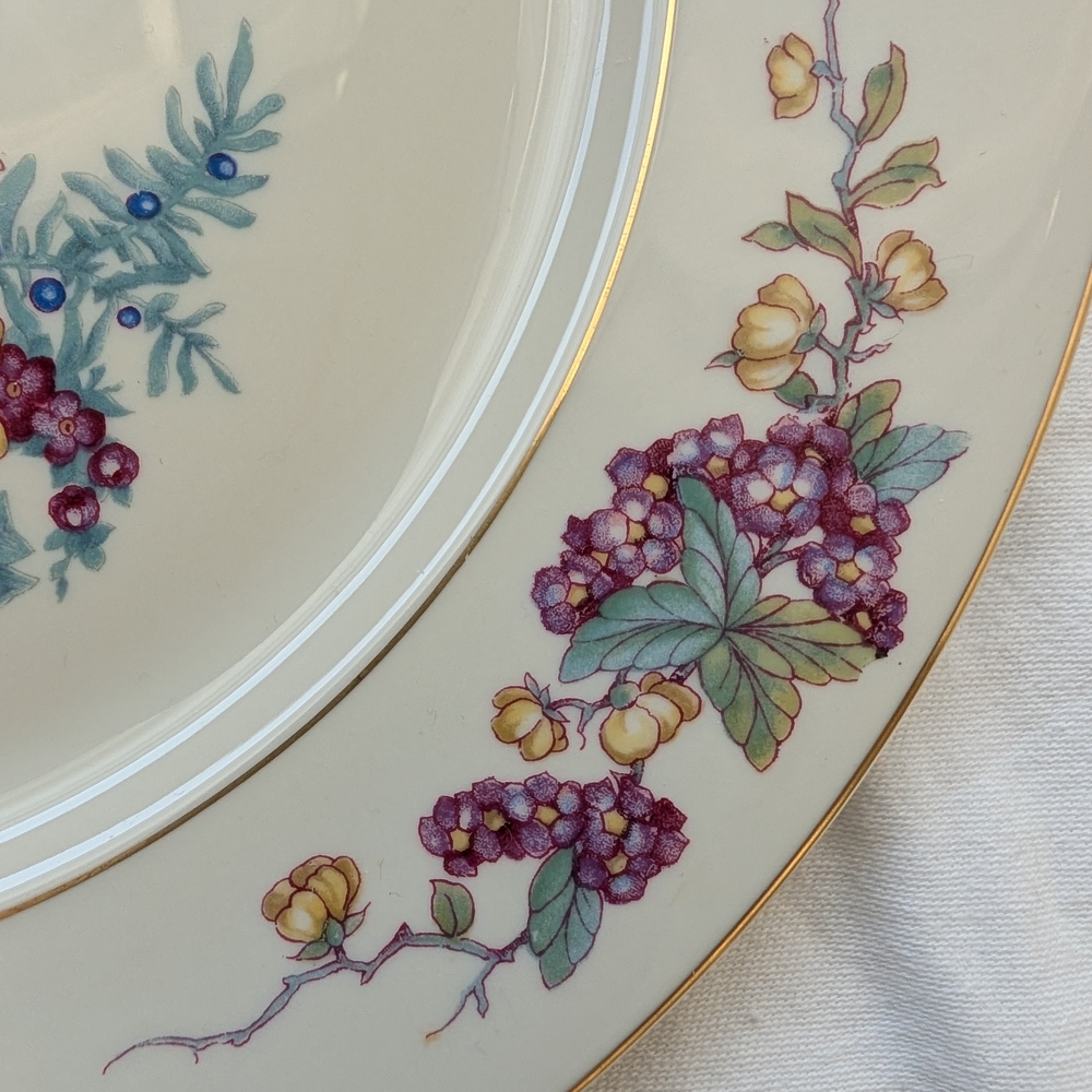 Vintage Rosenthal New Phoenix Porcelain Multicolor Bird Floral Dinner Plate - Picture 5 of 10